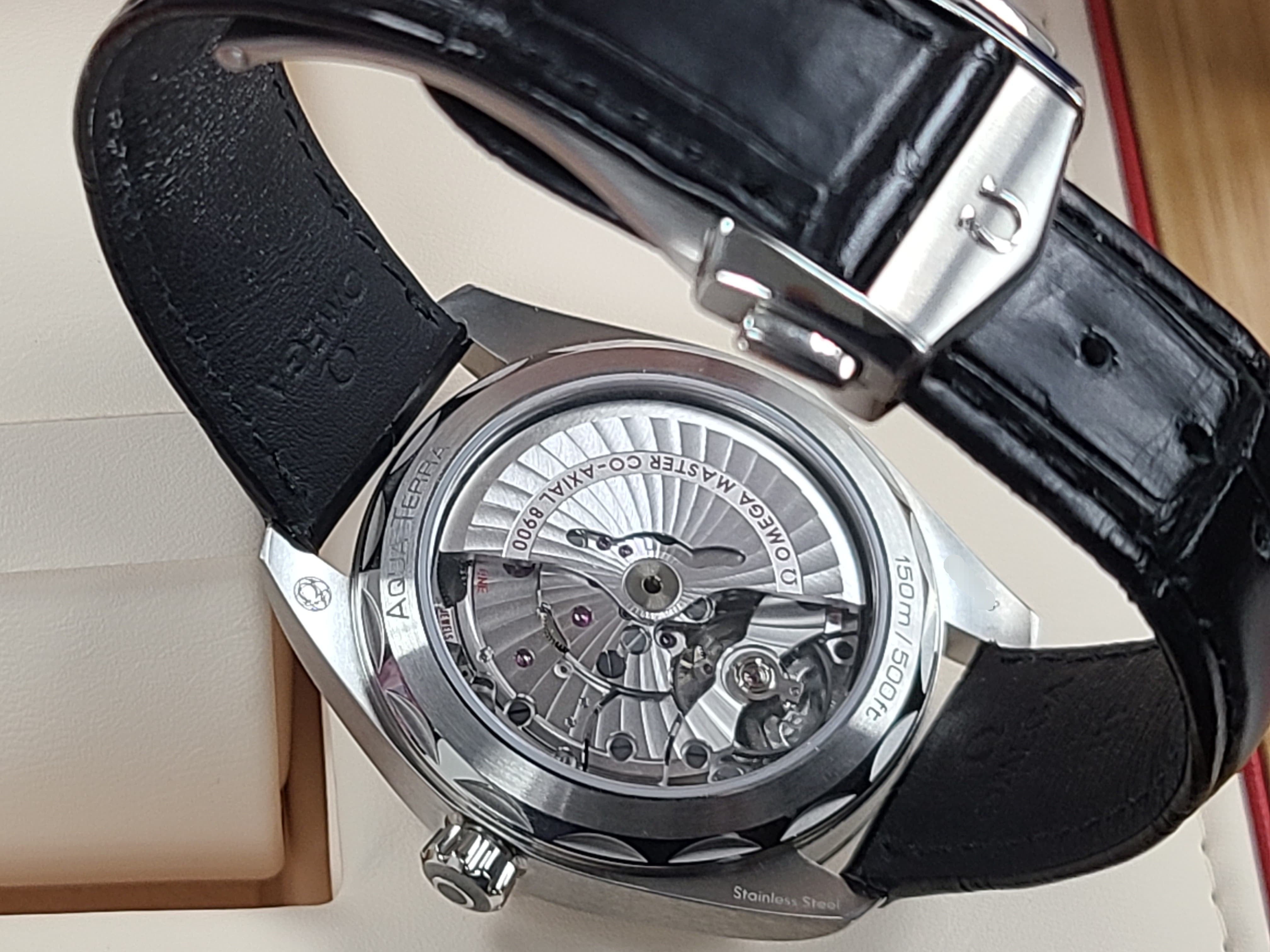 Omega Seamaster Aqua Terra 41 Master Chronometer Tapestri Dial