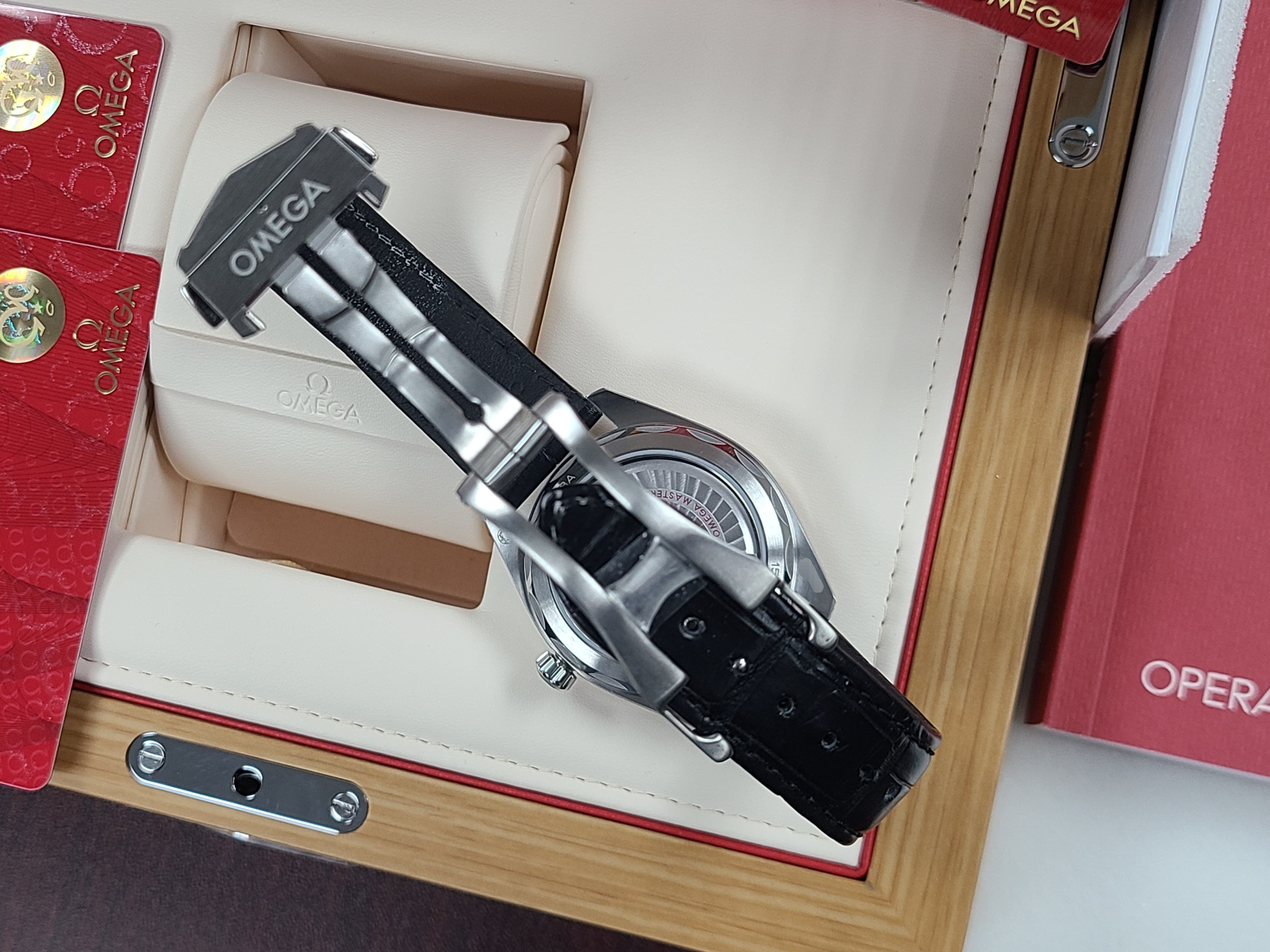 Omega Seamaster Aqua Terra 41 Master Chronometer Tapestri Dial